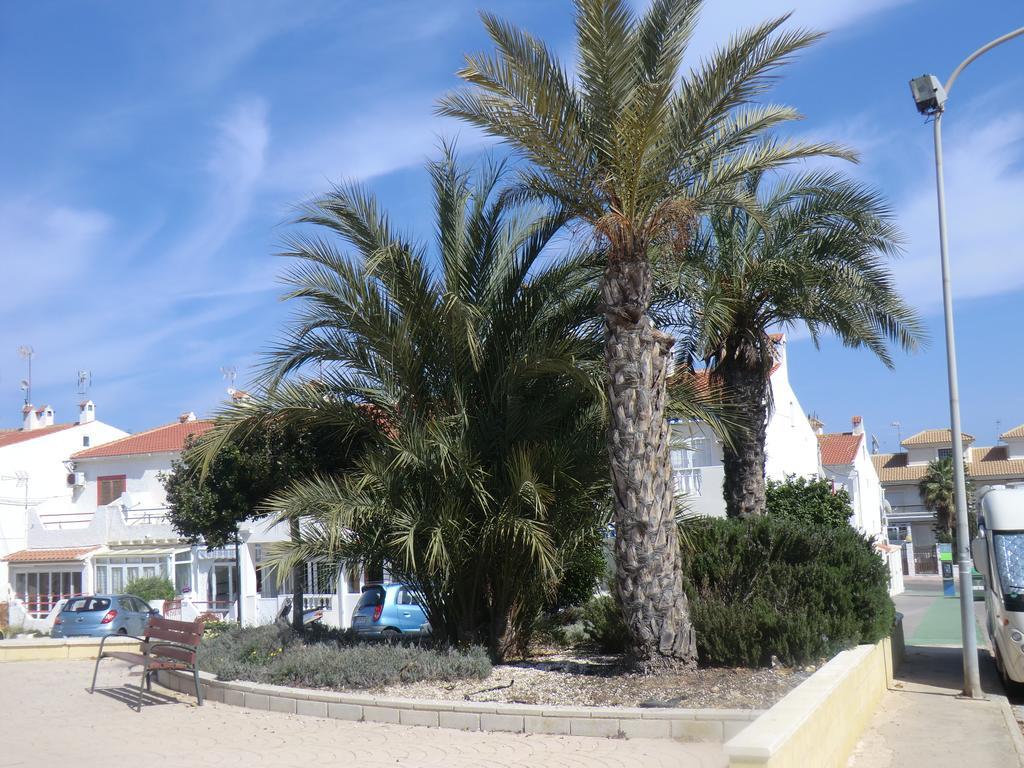 Casas Holiday - Playa La Mata 1 Torrevieja Eksteriør bilde